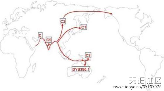 棕种人迁徙路线图