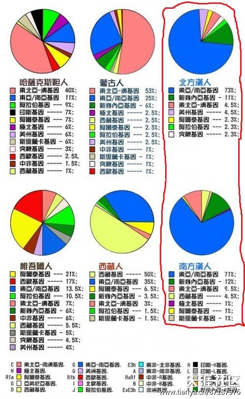 东亚各民族单倍群比例