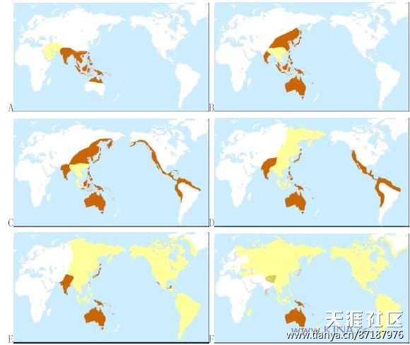黄种人东亚迁移图